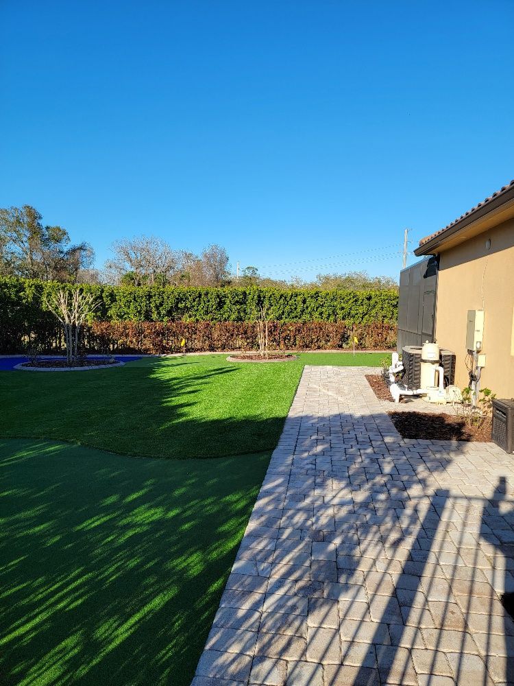 Green lawn and a house