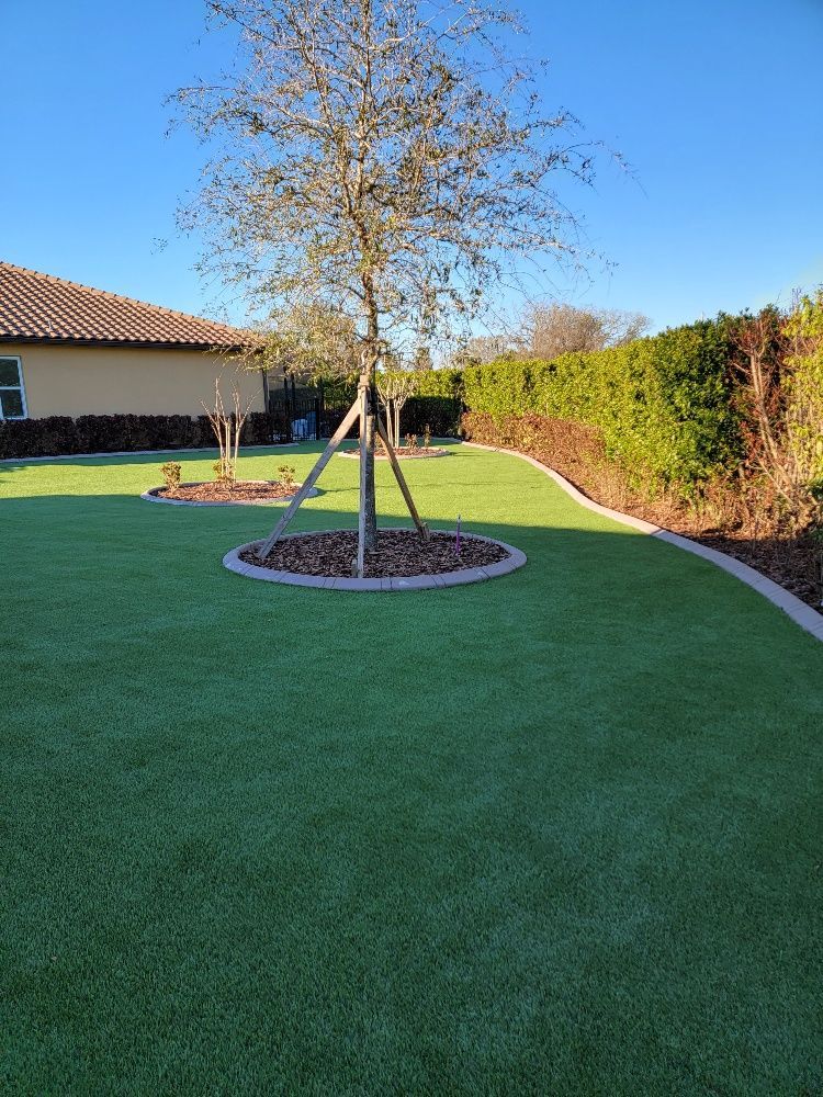 Green lawn with a tree