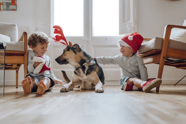 Two children and a dog wearing reindeer antlers and a Santa hat, indoors.