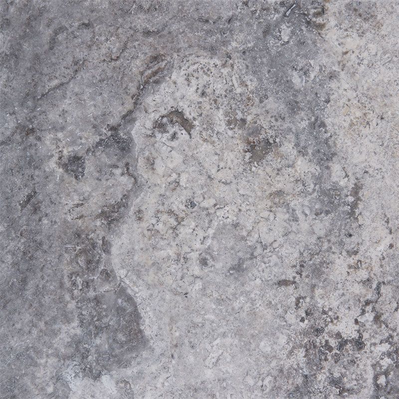 Gray weathered rock surface with lighter and darker mottled patches