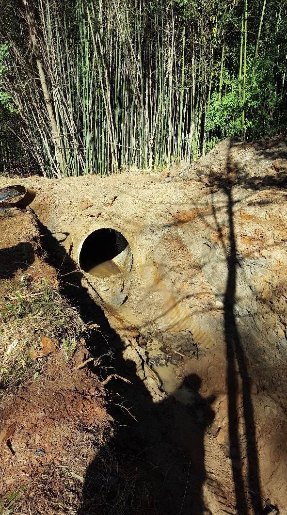 A dark tunnel opening in a dirt bank, shadows of trees in the foreground, bamboo forest in the background.