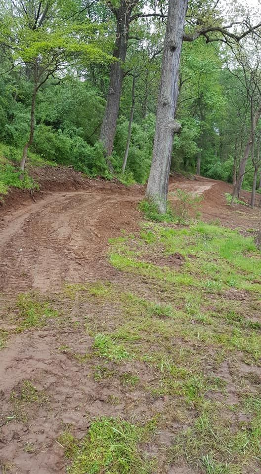 Muddy dirt road curves through a forest with green foliage and trees.