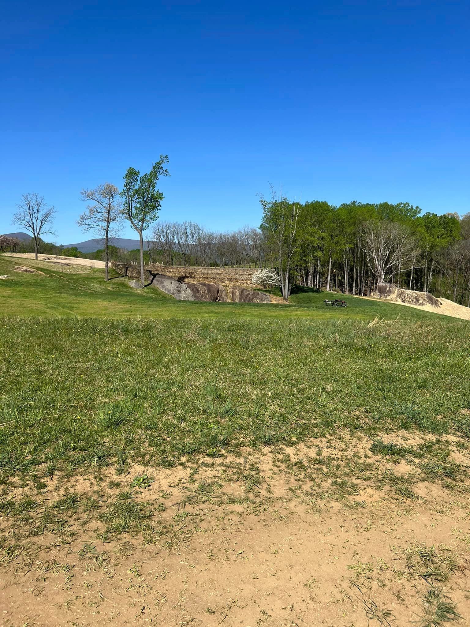 Grassy field with scattered wildflowers, trees, and distant hills under a clear blue sky.