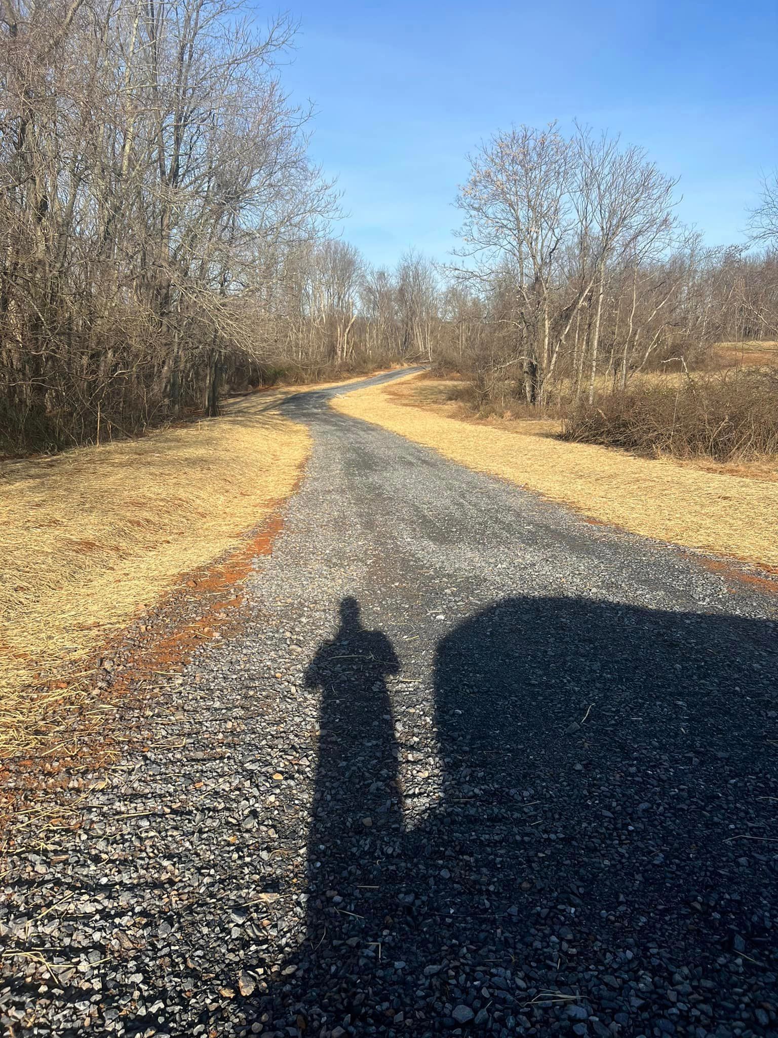 Shadow of a person on a gravel path winding through a landscape of leafless trees and brown grass under a blue sky.