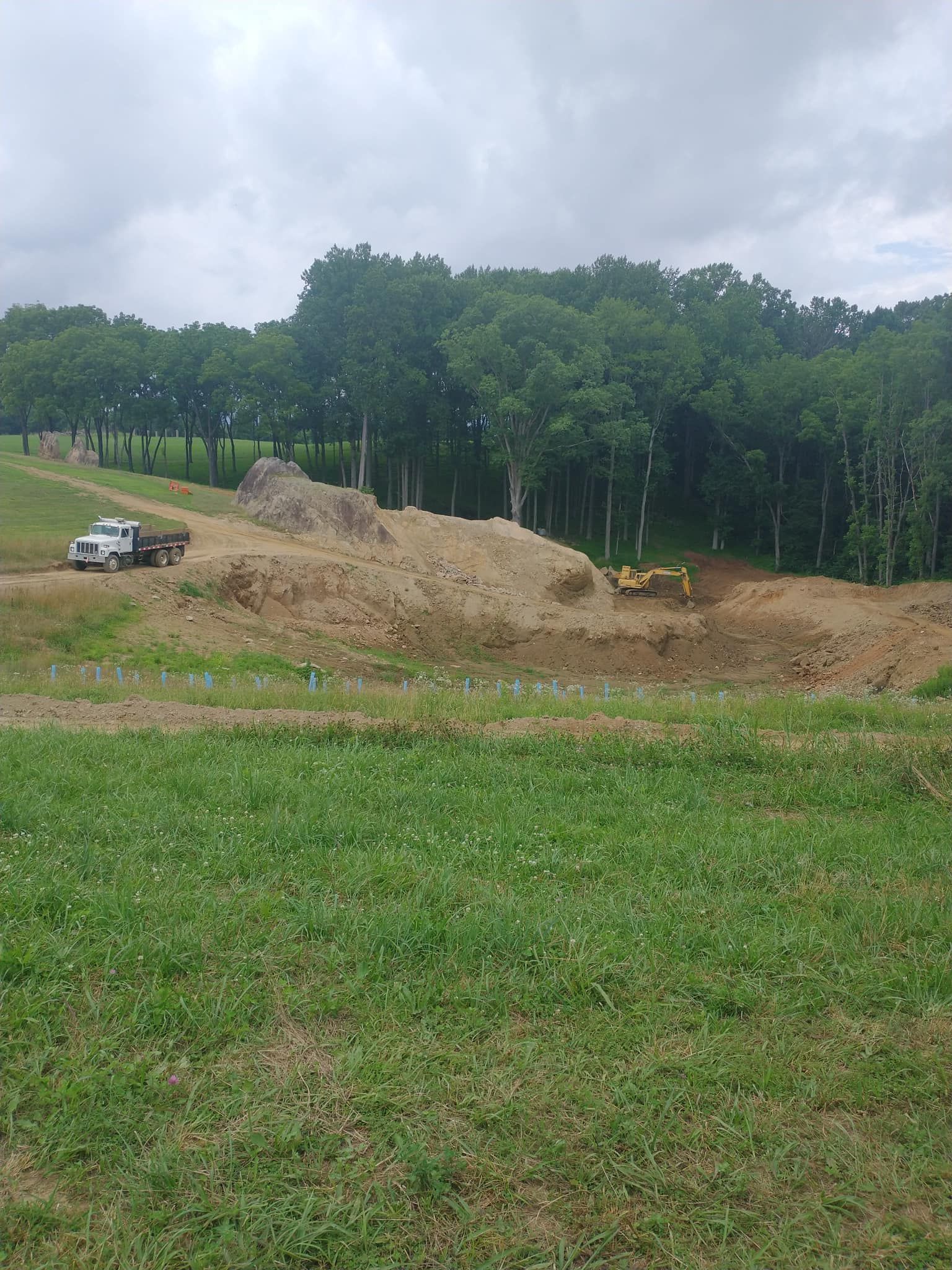 Construction site: bulldozer moving dirt, trees in the background, truck on the left, overcast sky.