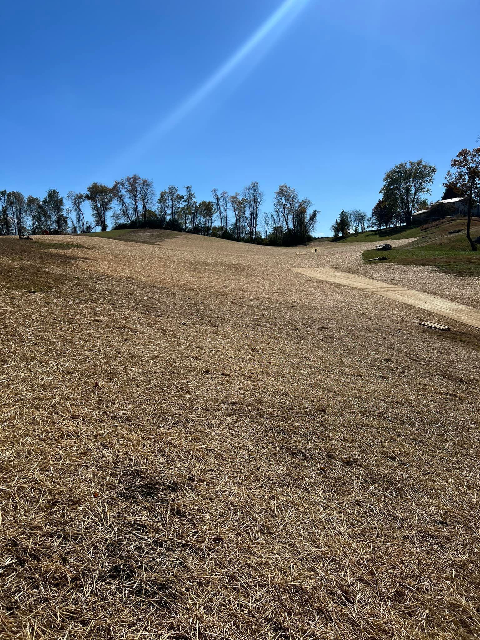 Wood chip covered hillside under a clear blue sky, trees on the horizon, sunlight.