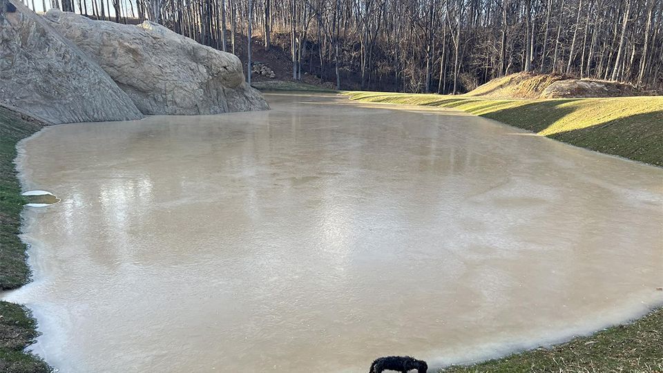 Muddy pond surrounded by grassy banks, with a pile of rocks in the background and trees.