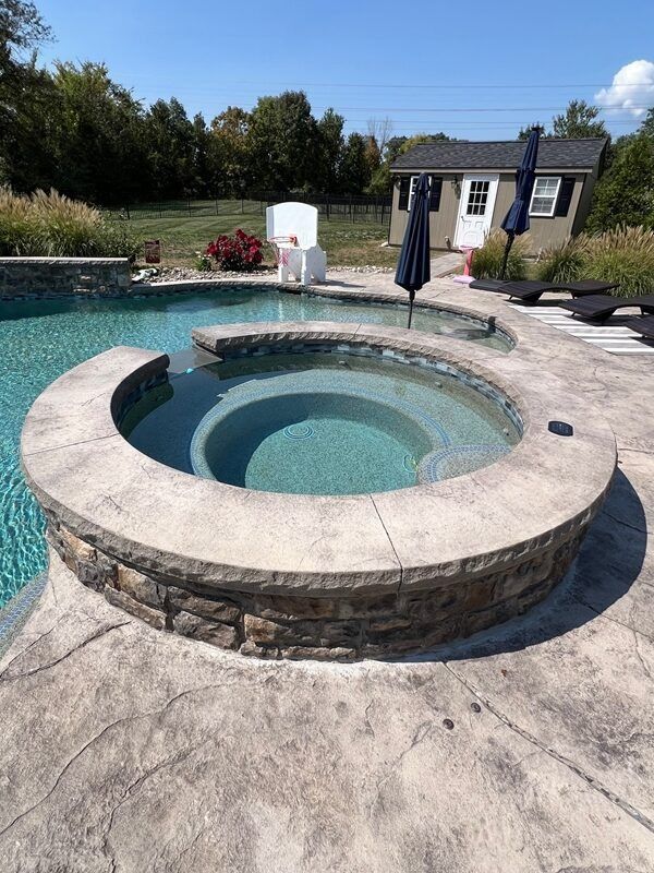 A backyard pool with a hot tub, trees, and a small shed on a sunny day.