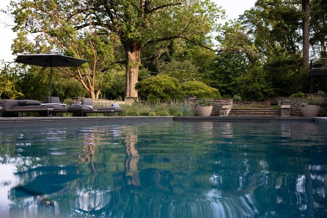 Blue swimming pool reflecting trees and patio loungers in a lush garden setting