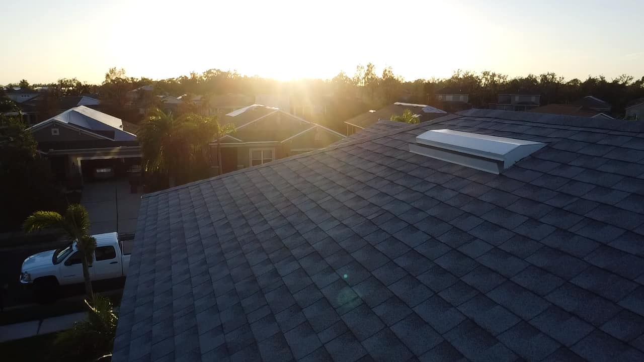 Rooftops of houses at sunset with the sun shining through the trees.