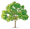 Elite Tree Care LLC