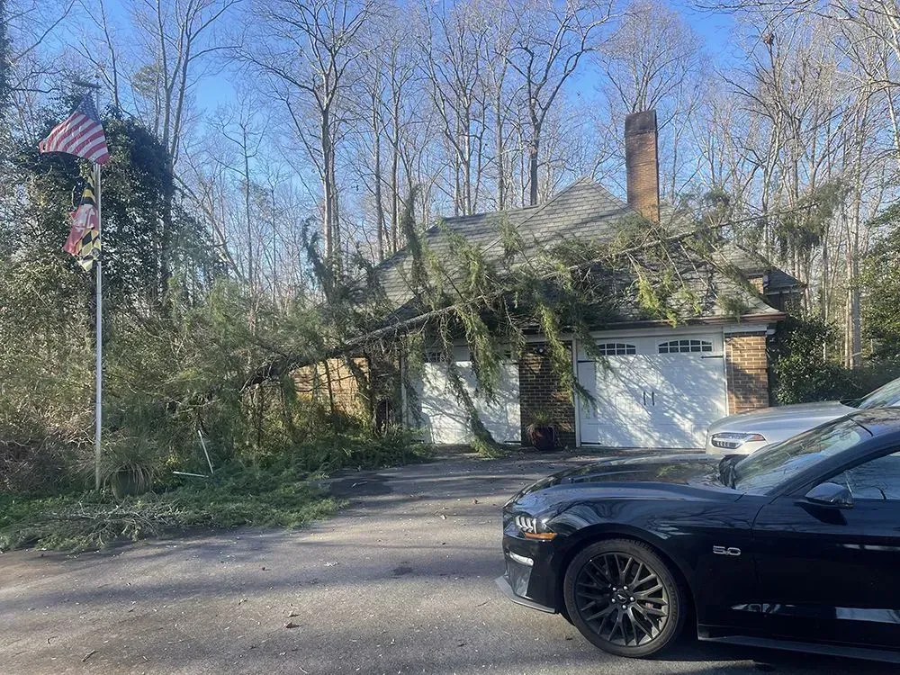 Car in front of a vine-covered house with a garage and trees on a sunny day