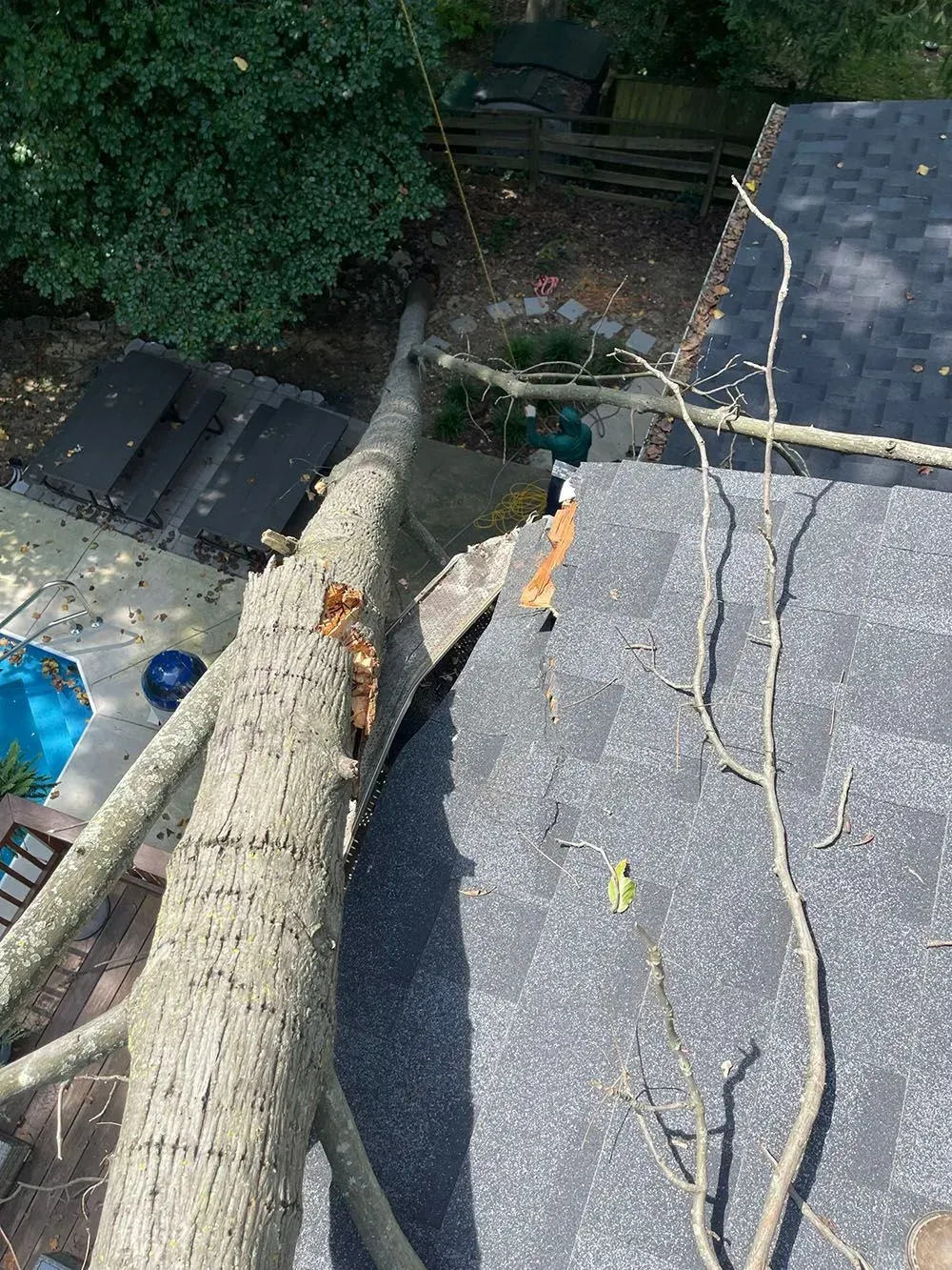 Tree trunk being removed beside a gray shingled roof, with a worker in an orange shirt nearby.