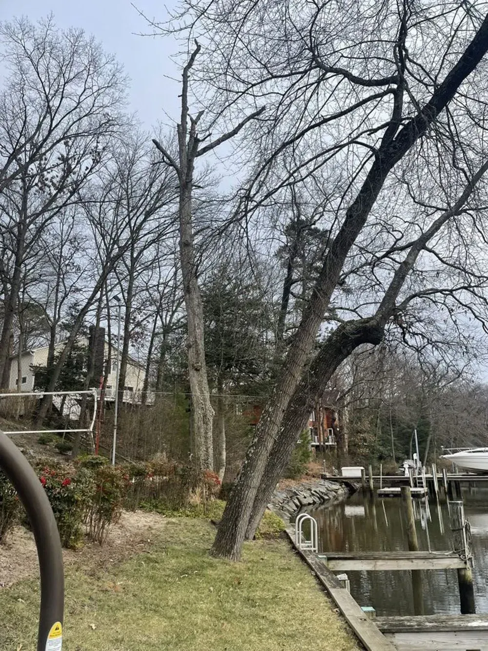 Leafless trees beside a narrow canal with a small dock and grassy bank on an overcast day