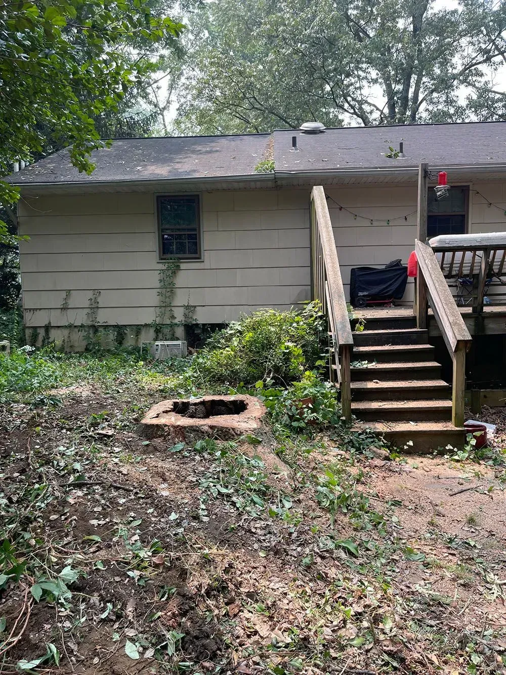 Small house with exterior stairs and porch, surrounded by overgrown trees and brush.