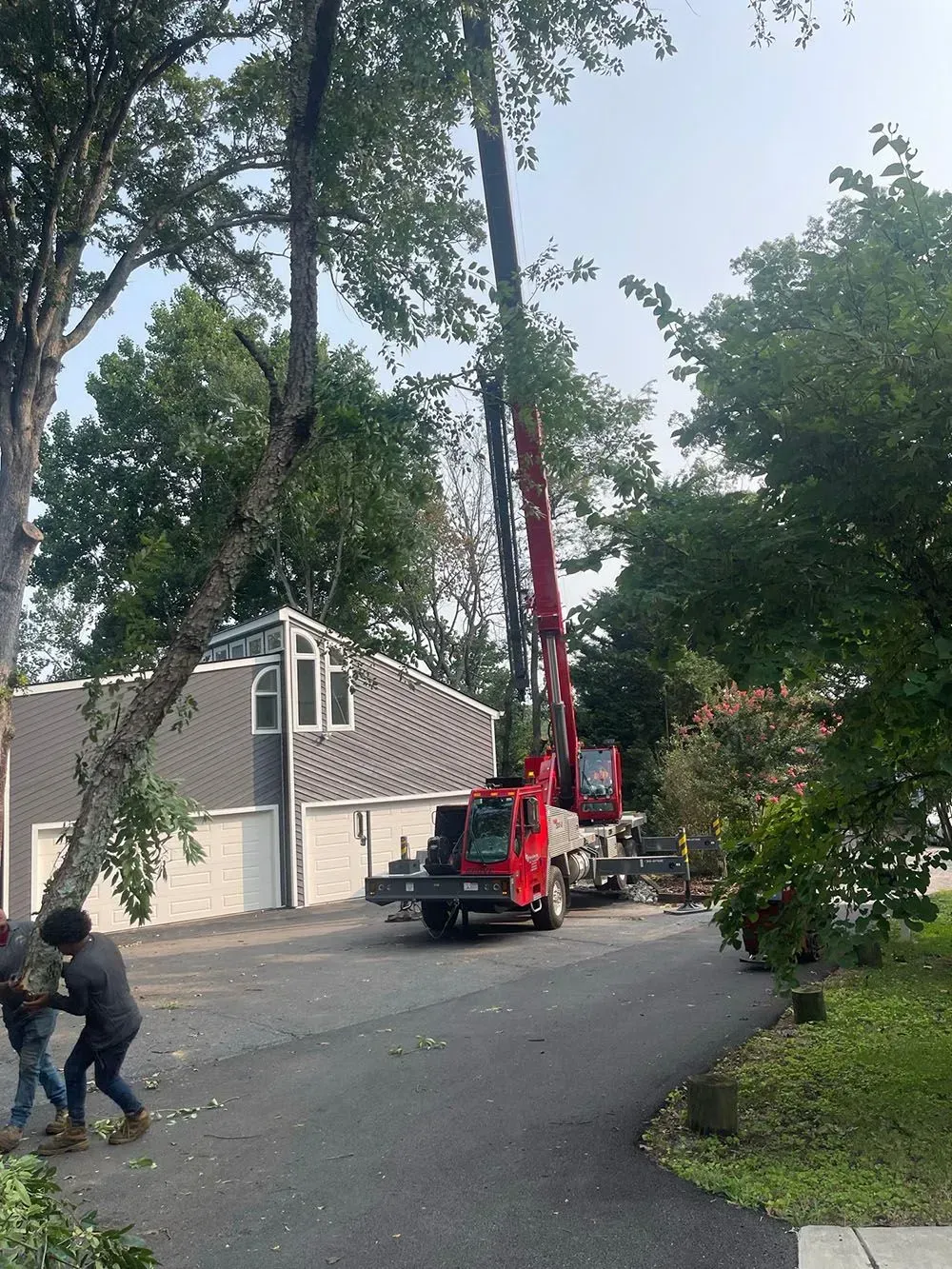 Tree service truck lifting a worker near a house on a tree-lined residential street