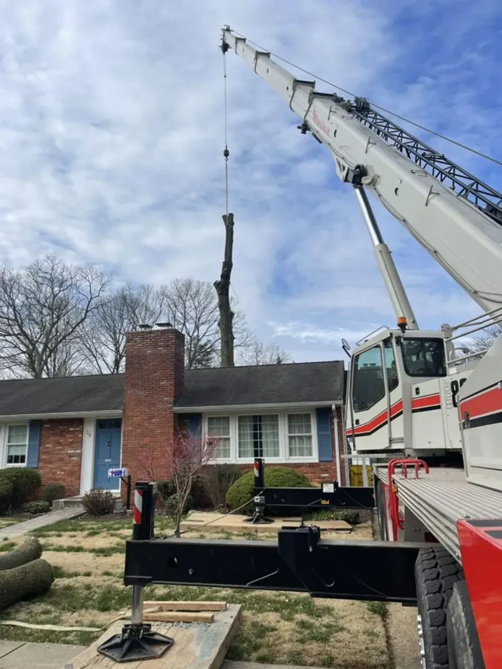 Crane lifting a tall tree trunk from the front yard of a brick house