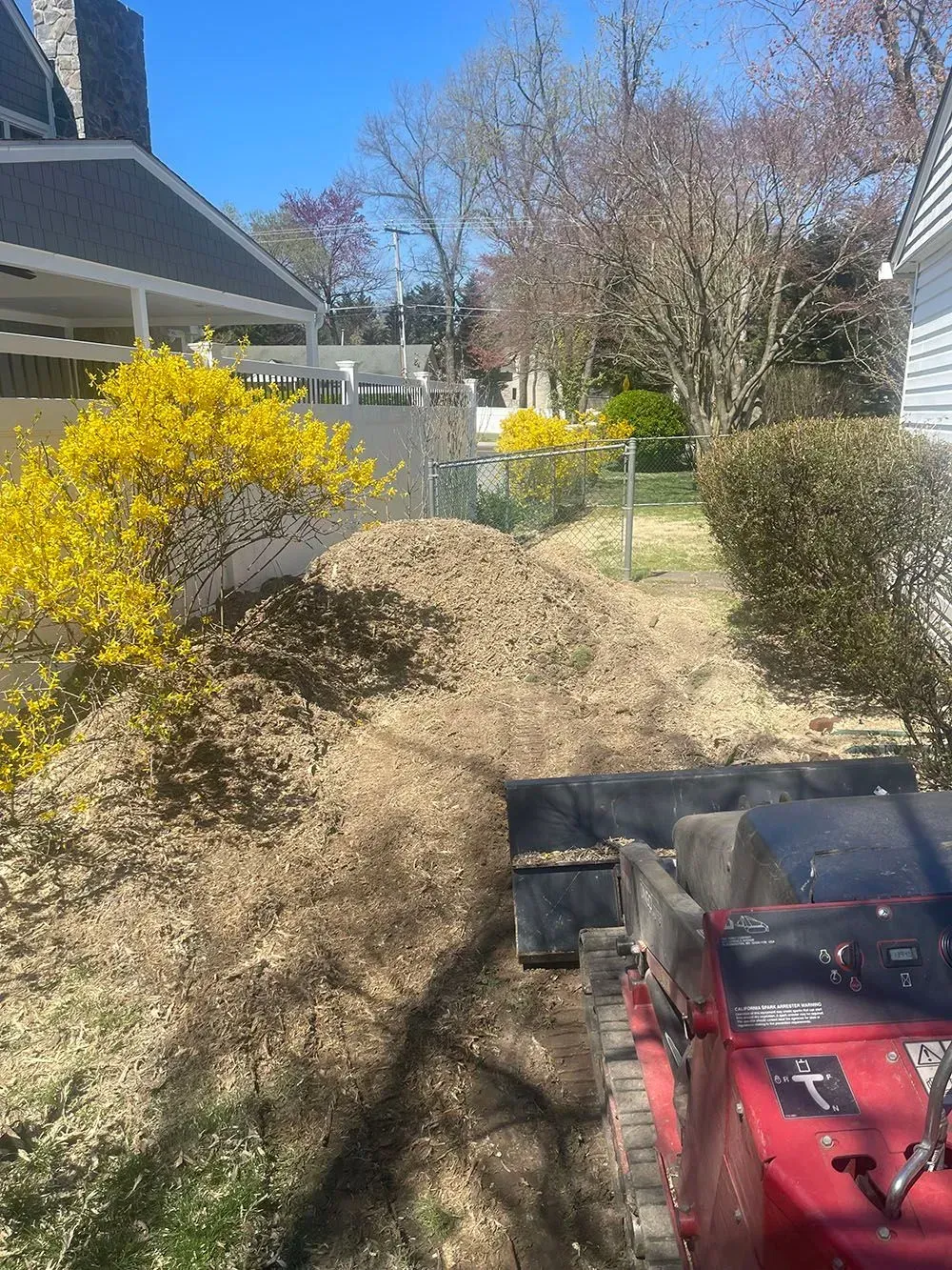 Front yard with yellow shrubbery and a red lawn mower under a bright blue sky