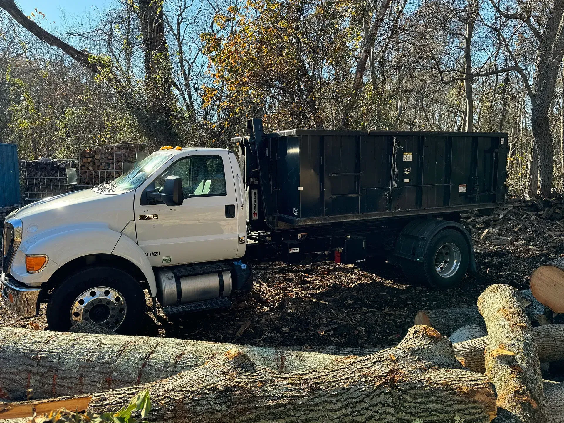 White dump truck parked on a wooded dirt road beside cut logs and leafless trees