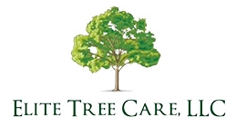 Elite Tree Care LLC