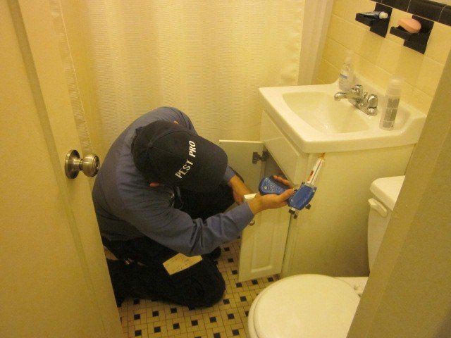 Residential pest removal