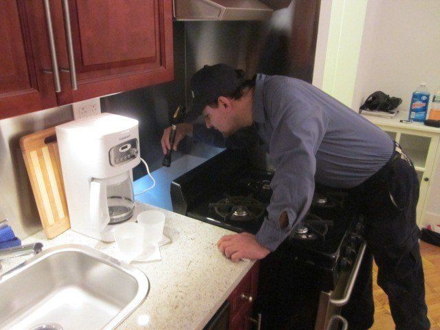 Residential pest removal