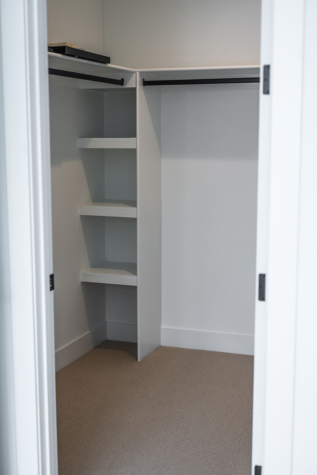 Empty white closet with shelving, hanging rod, and carpet.