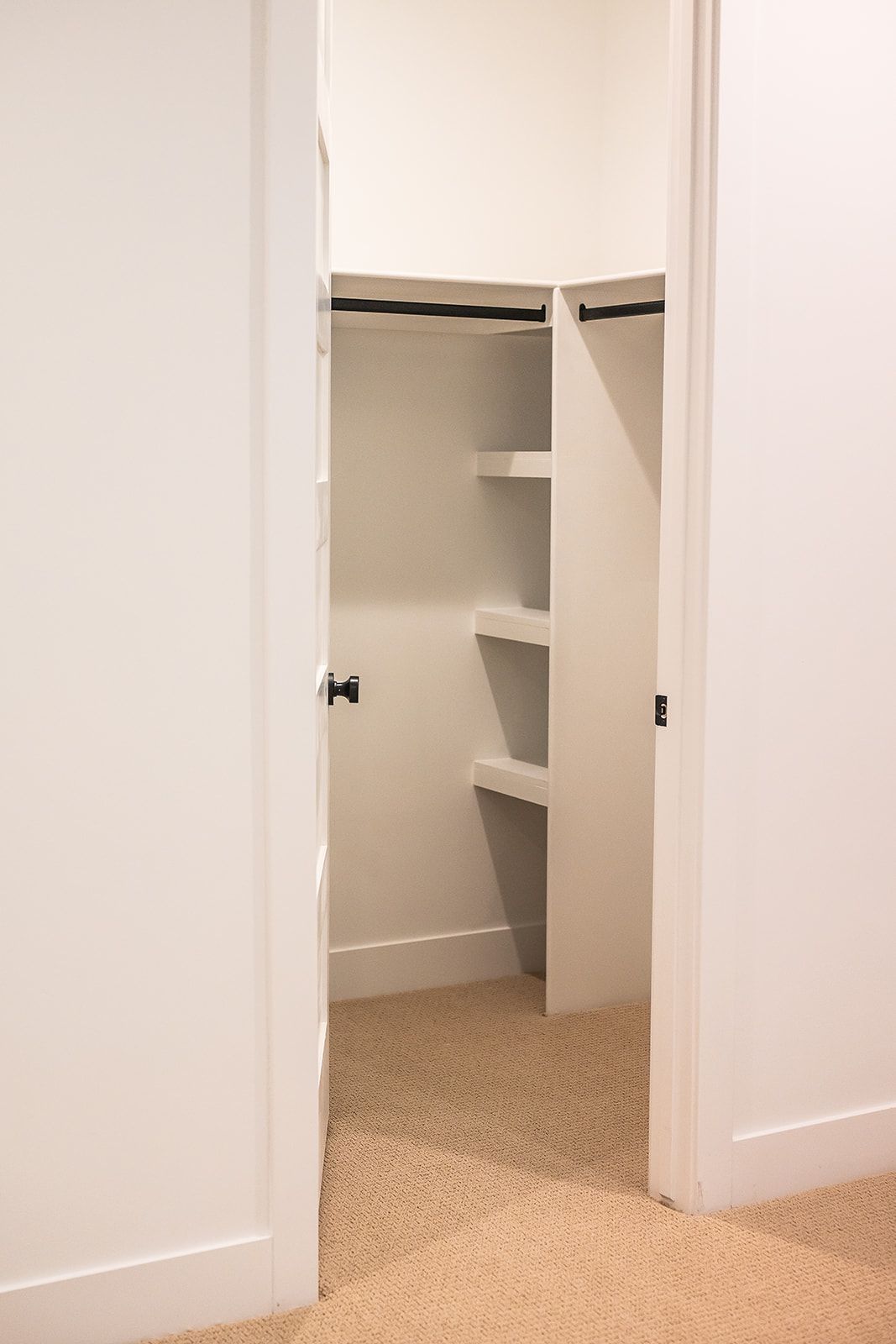 Open white closet with shelves, a black rod, and tan carpet.