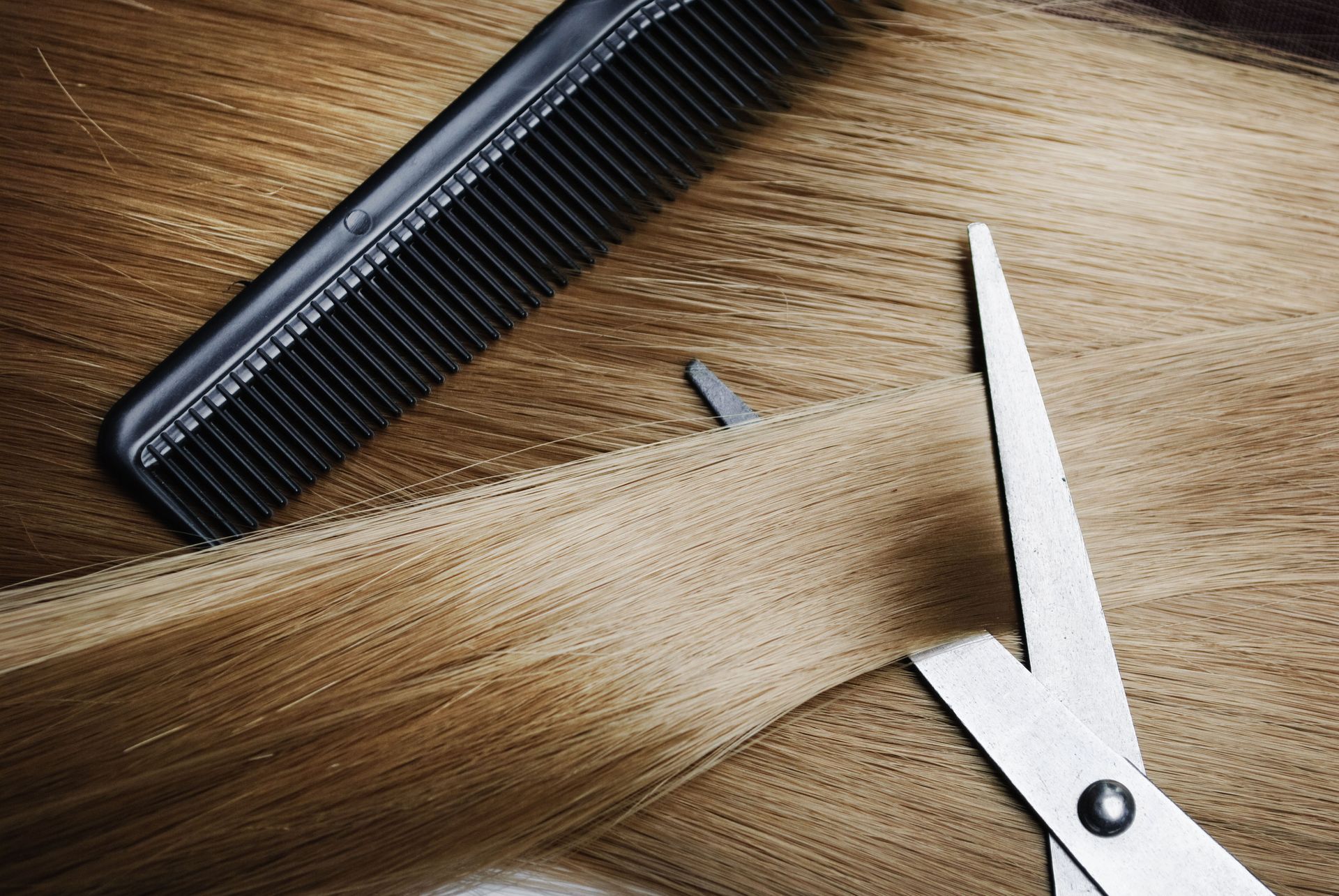 Comb and scissors cutting a section of light brown hair.