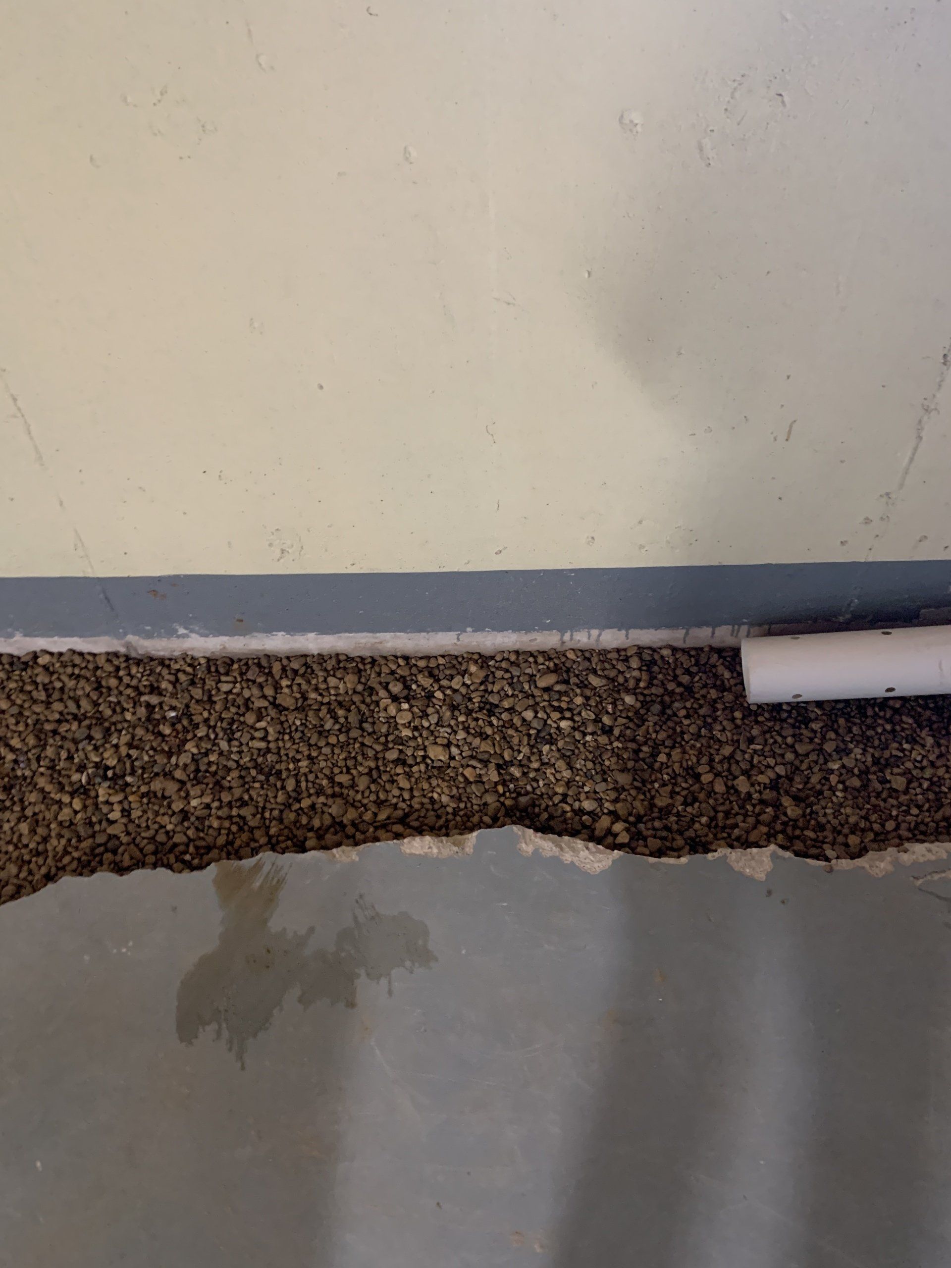 Close-up view of a basement wall, carpet, and floor. The wall is light blue with a dark blue line. The carpet is brown and the floor is gray with water stains.