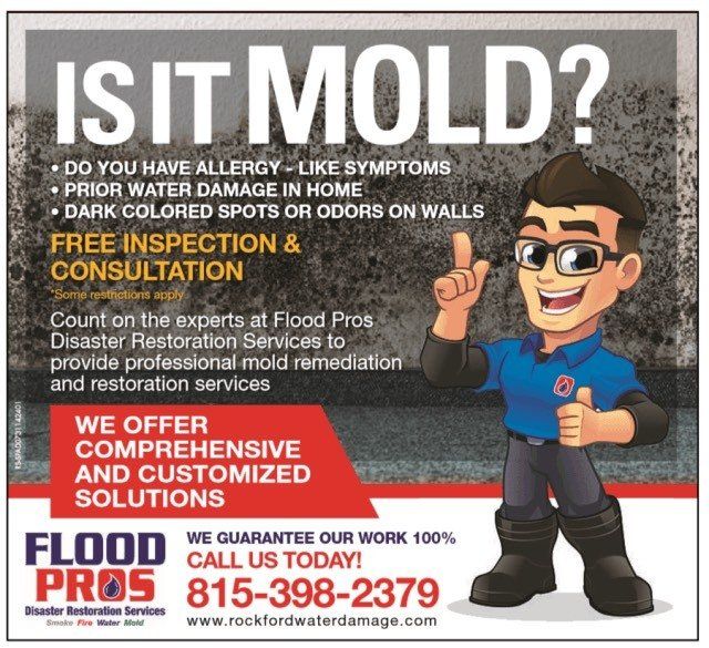 Mold Removal and testing