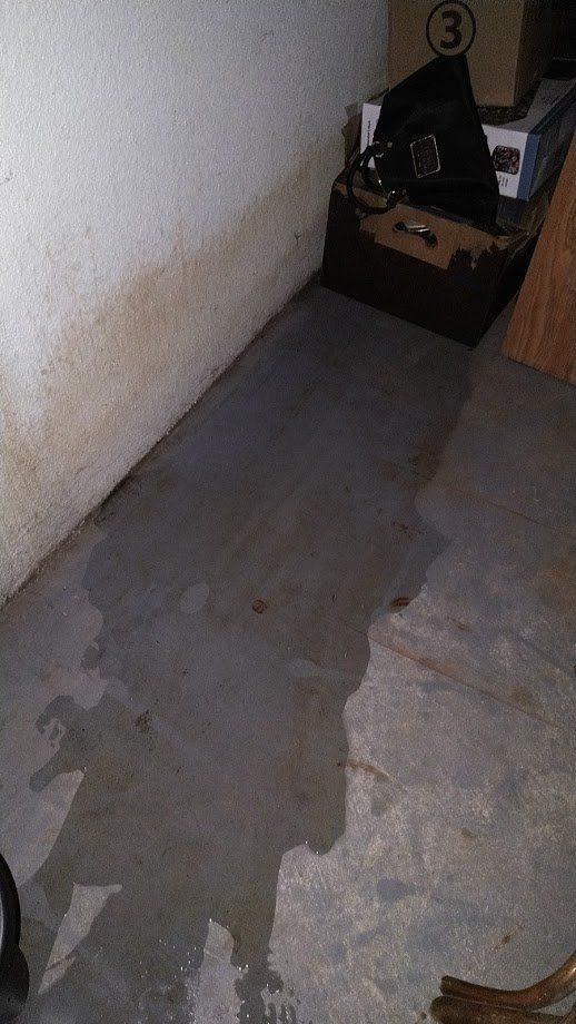 Wet concrete floor in a basement, with water pooling against the wall and some debris.