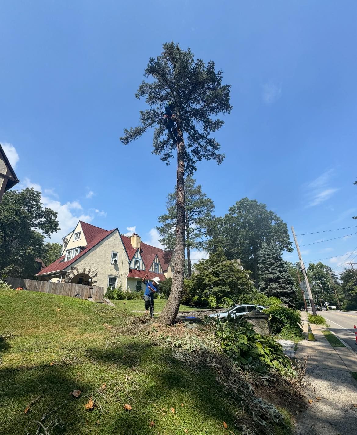 landscaping-and-tree-cutting