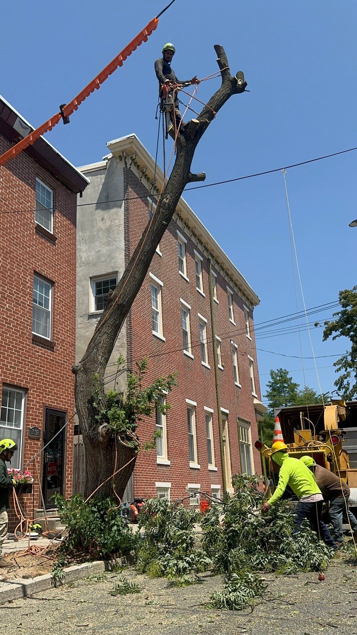 landscaping-and-tree-cutting