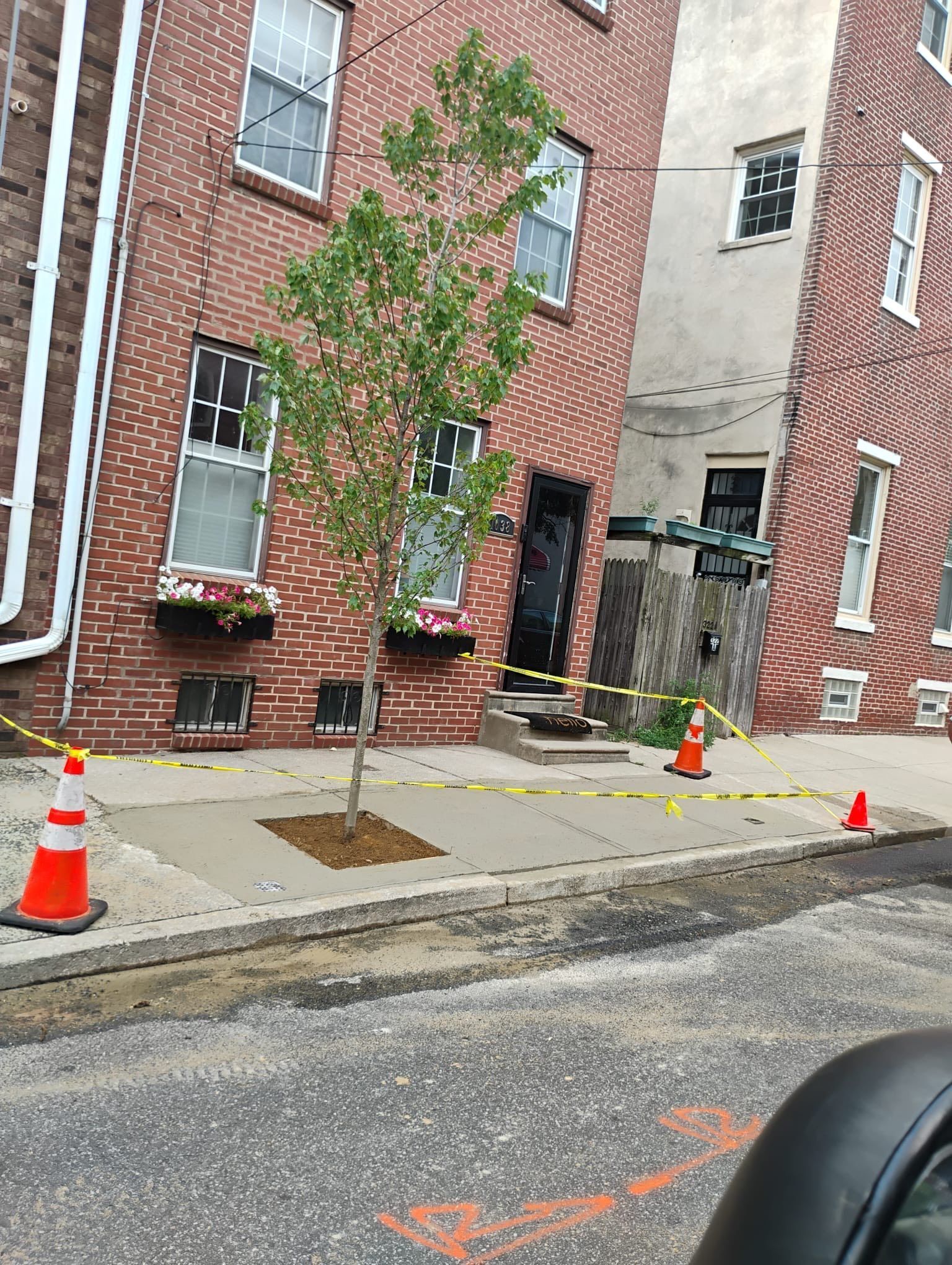 landscaping-and-tree-cutting