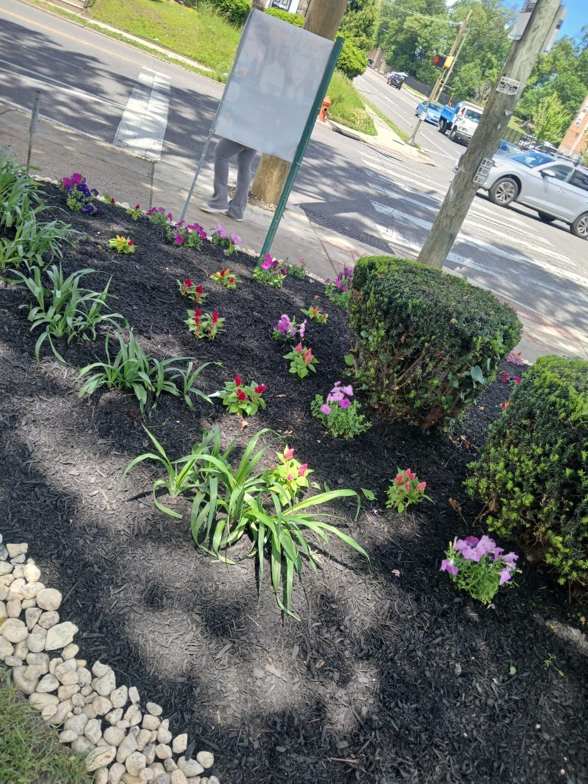 landscaping-and-tree-cutting