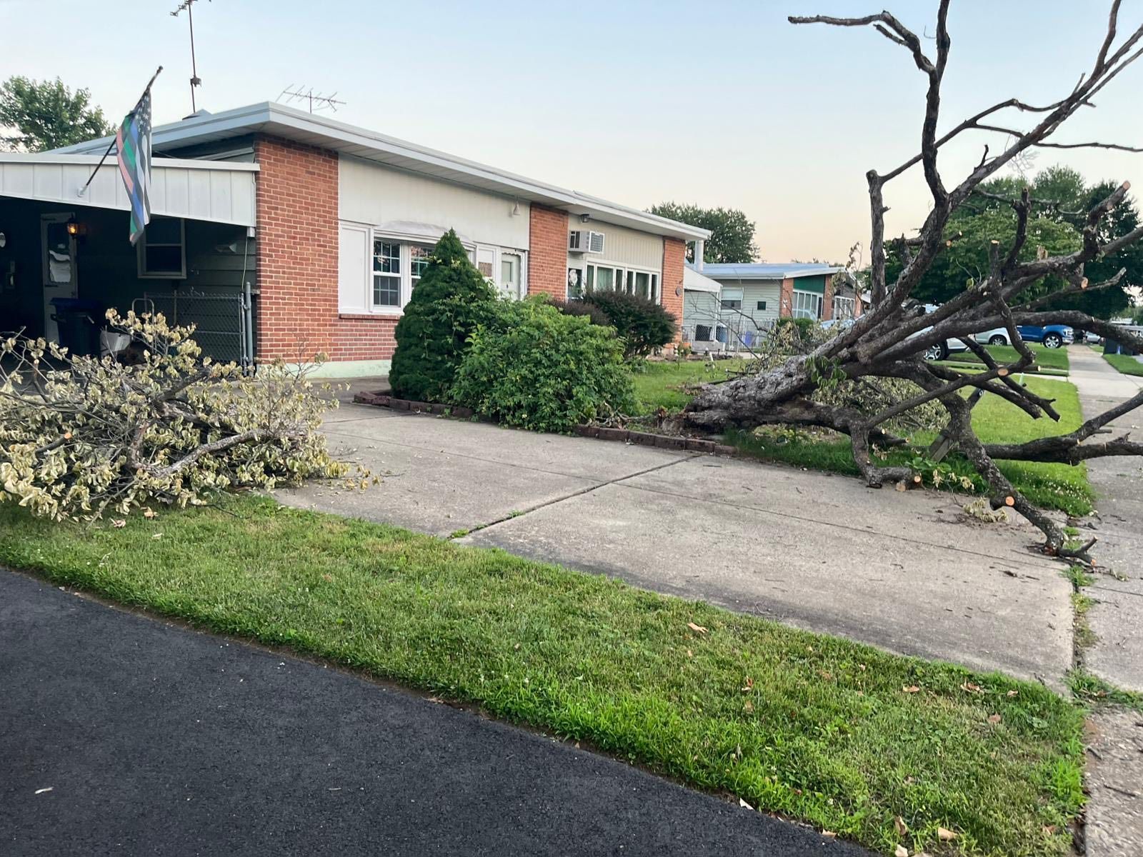 landscaping-and-tree-cutting