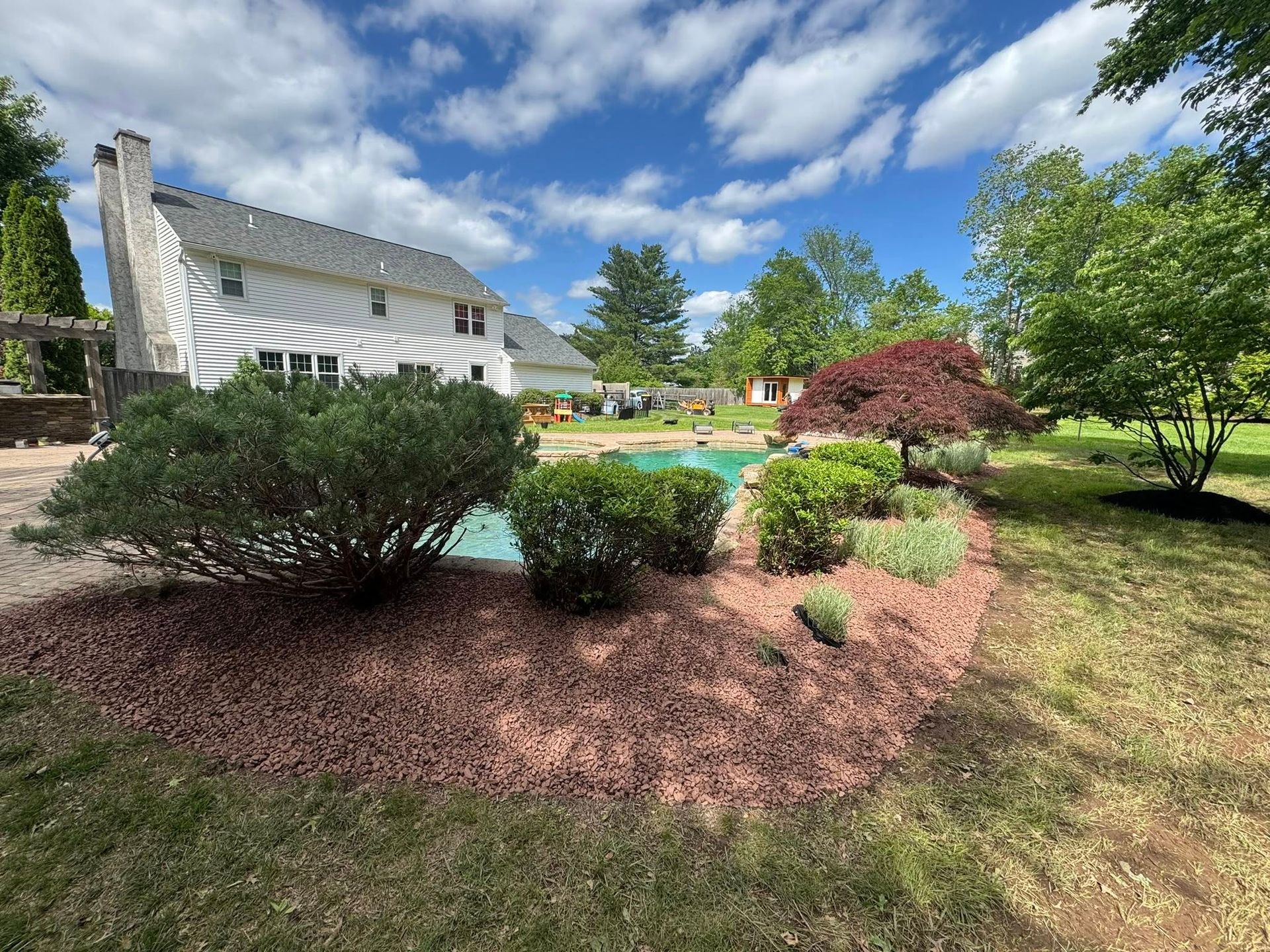 Backyard with landscaping and a pool, house in the background. Pink mulch, blue sky with clouds.
