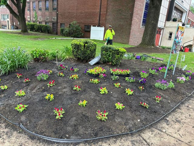 landscaping