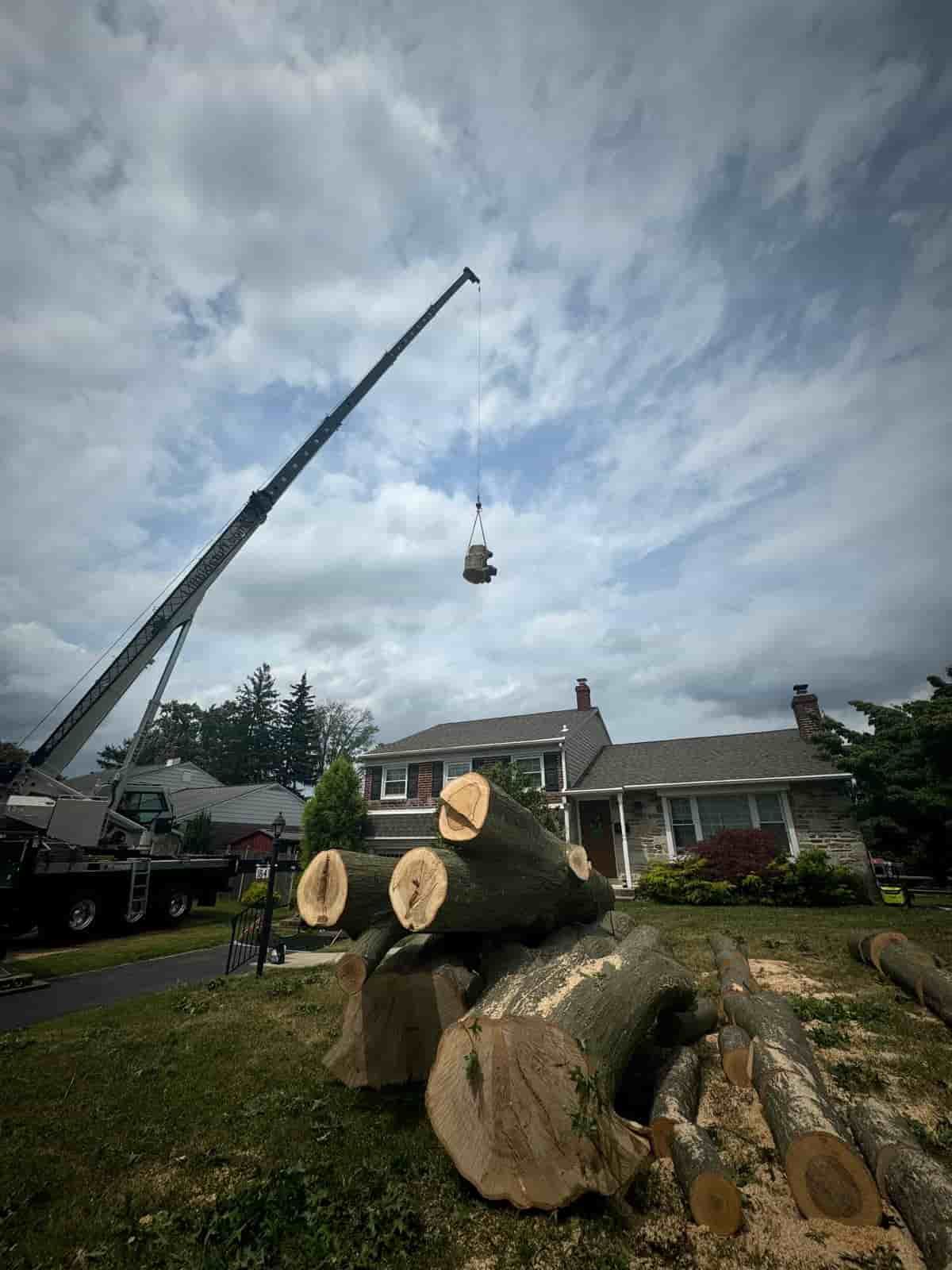 ceiba-landscaping-and-tree-service