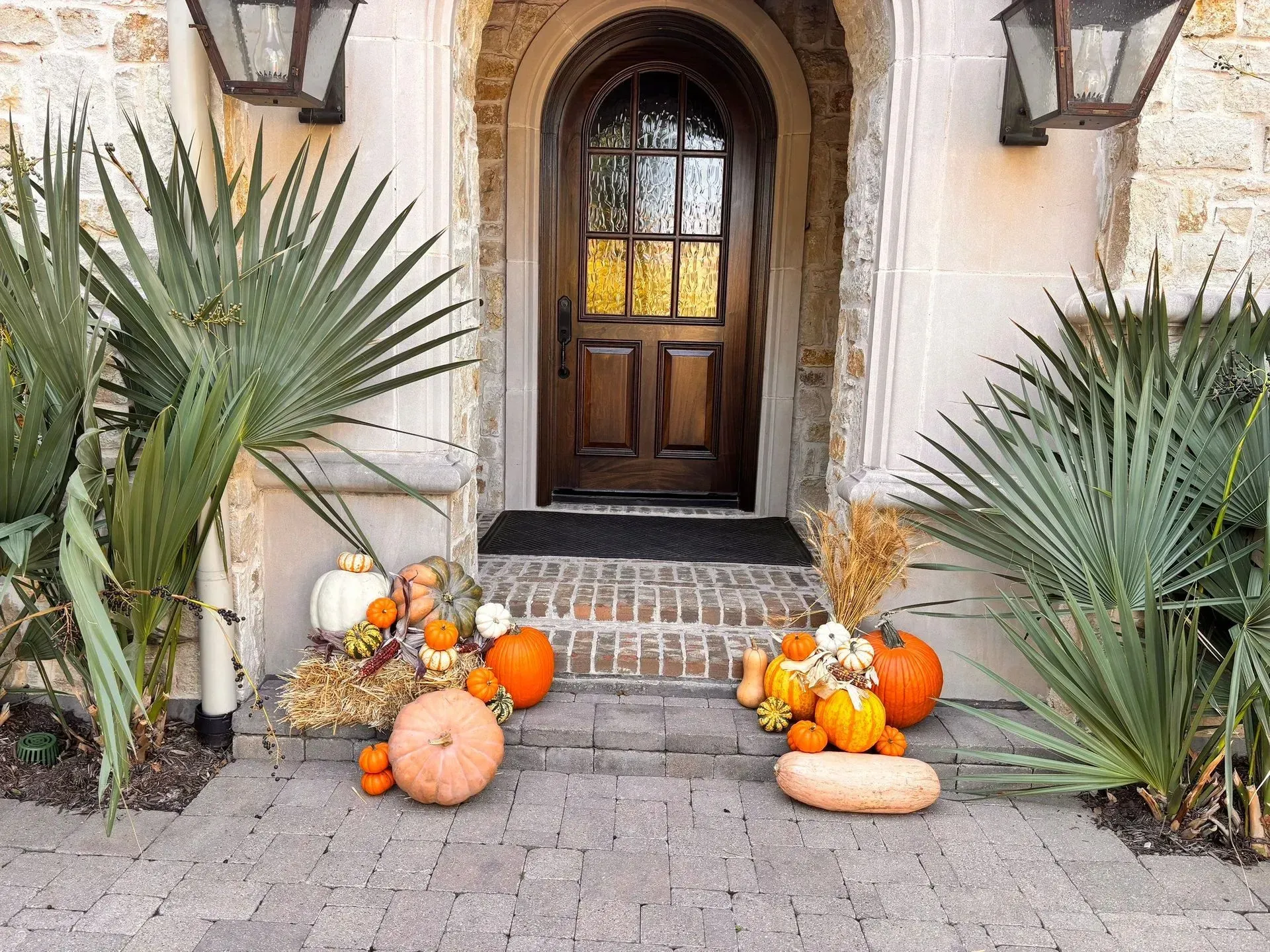 A front door decorated for autumn with pumpkins and gourds on the stone porch steps, framed by two large palm plants.