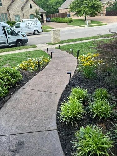 A concrete pathway leads to a house, flanked by dark mulch beds with small green plants and yellow flowers.