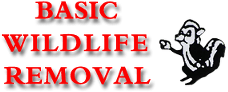 Basic Wildlife Removal - Logo