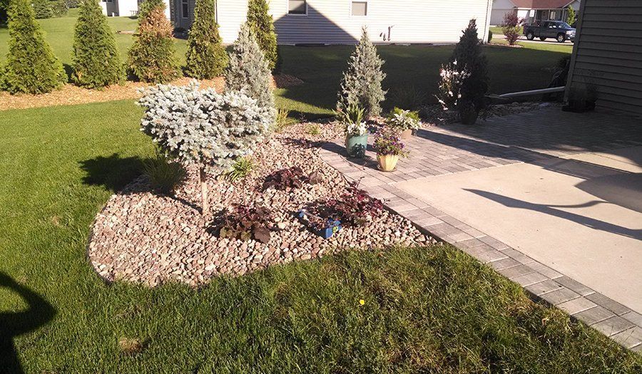 Landscaped yard with various trees and plants surrounded by brown rocks, next to a paved walkway and green grass.