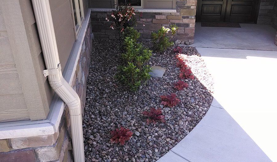 Landscaped garden bed with dark pebbles, shrubs, and red plants next to a sidewalk and house.