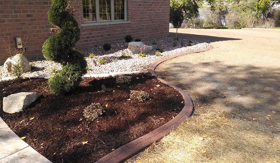 Front yard landscaping with curved brown edging, mulch, and spiral topiary.
