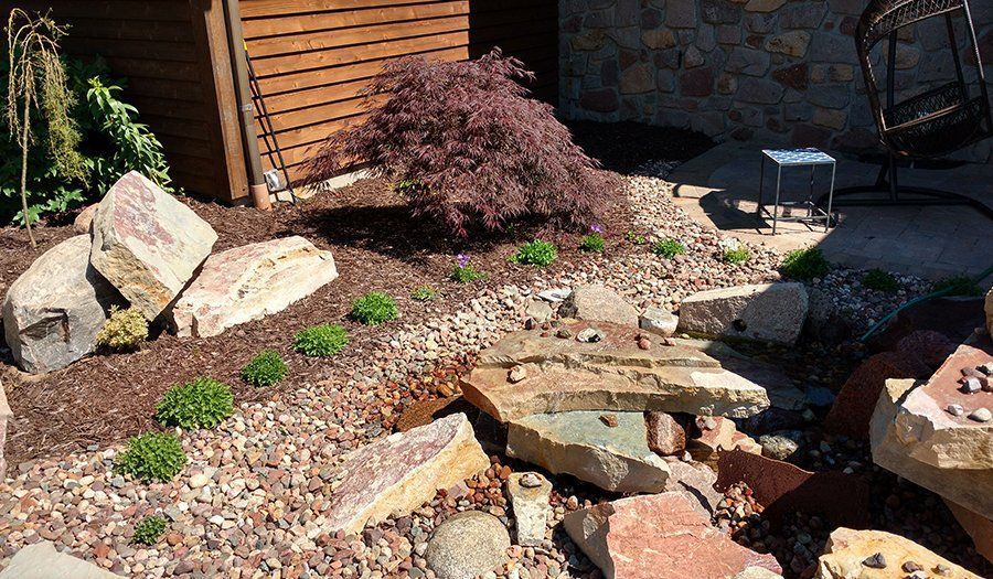 Landscaped garden with large rocks, red mulch, and a weeping purple tree.