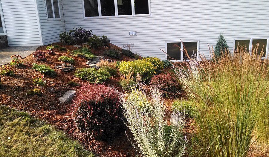 A flower bed in front of a white house with various colorful plants and brown mulch.