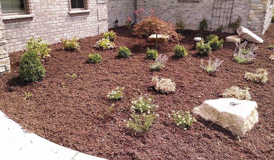 Flower bed with brown mulch, green shrubs, and light-colored rocks in front of a stone building.