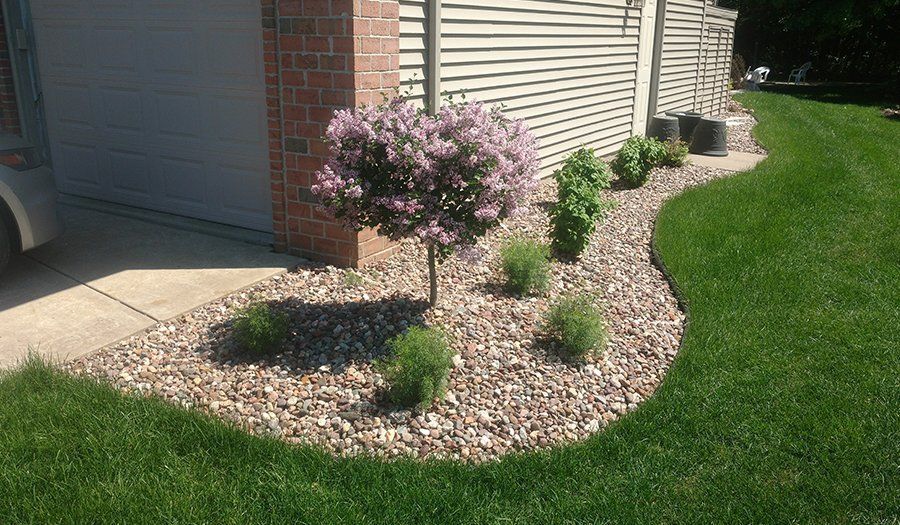 A landscaped yard bed with a flowering tree and shrubbery, bordered by lawn and gravel.